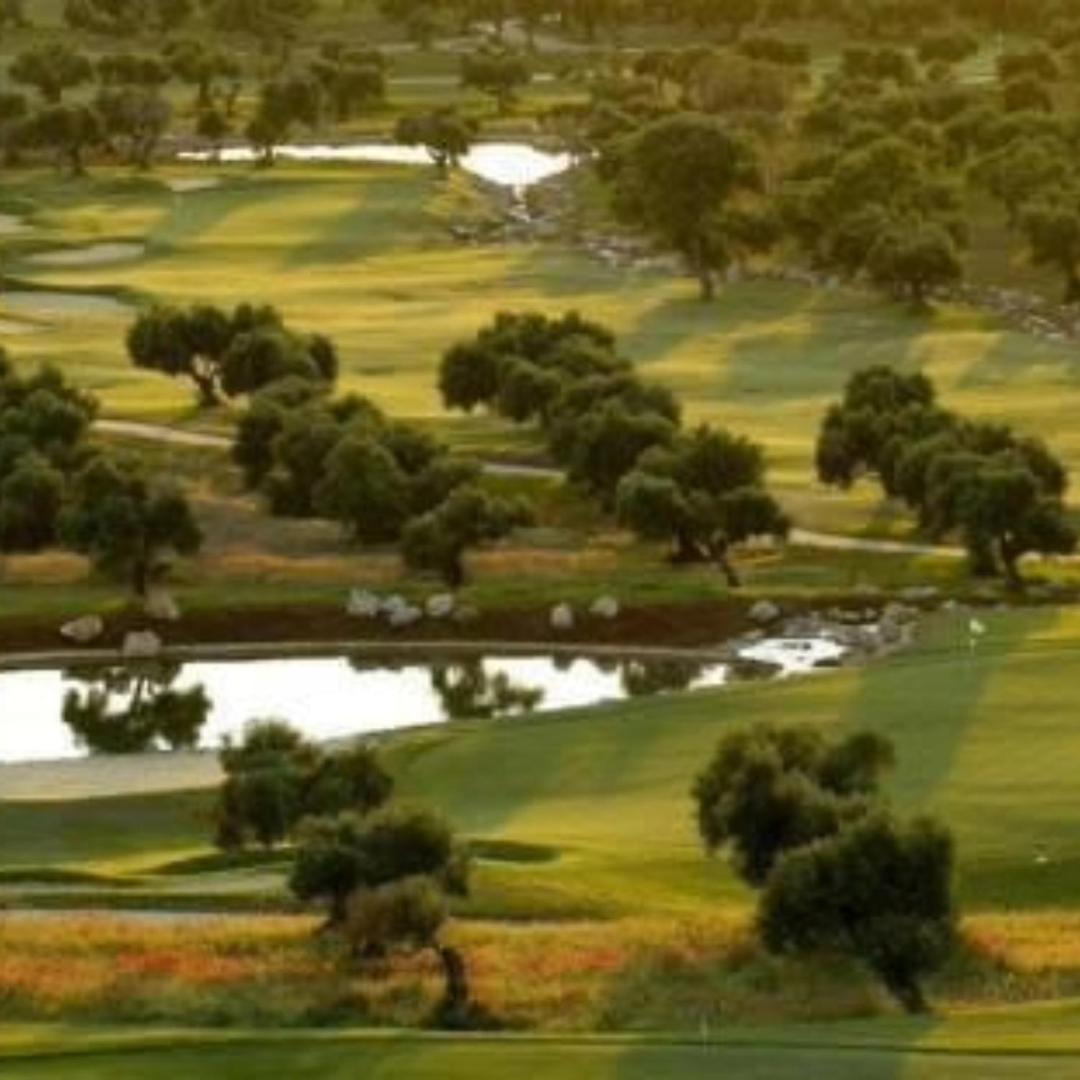 Apartment Calle Larga 48 Golf Incluido